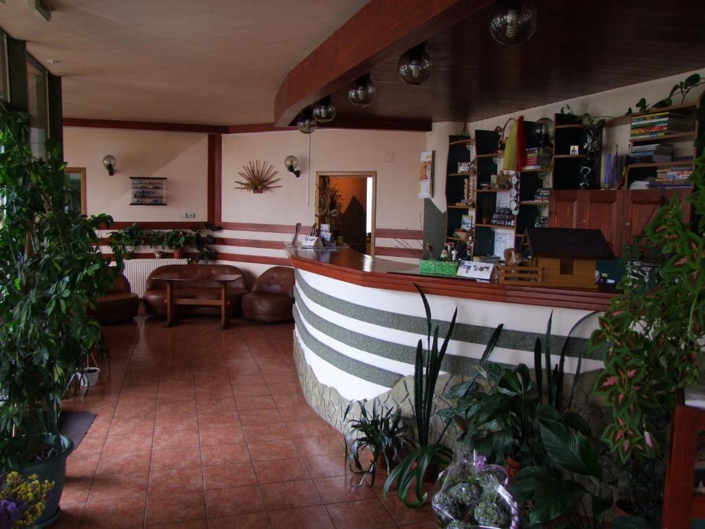 Hotel Silva Dornavátra Kültér fotó